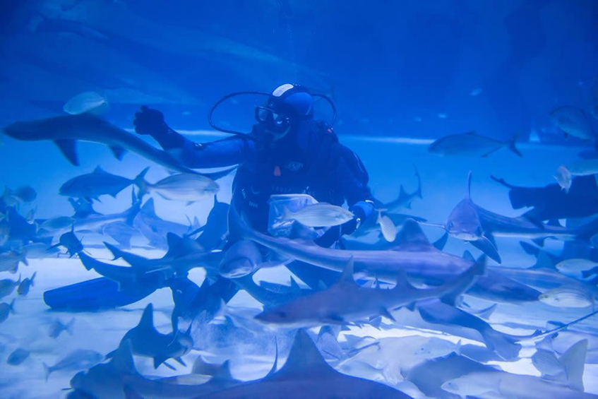 Antalya Aquarium - Akvaryum